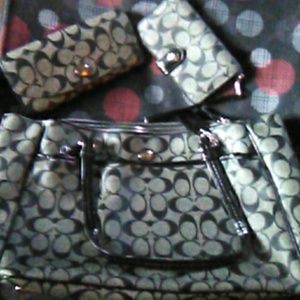 A black and grey touch of paradise